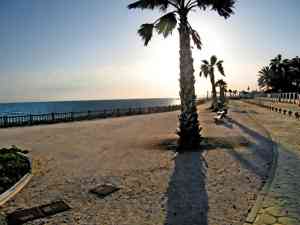 Paseo view 4