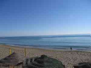 Paseo view 2